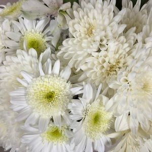 Meet your Posher, Kristin